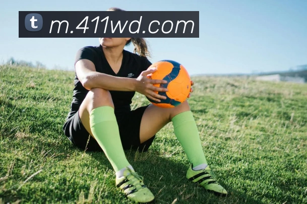 问鼎官网入口平台生态图